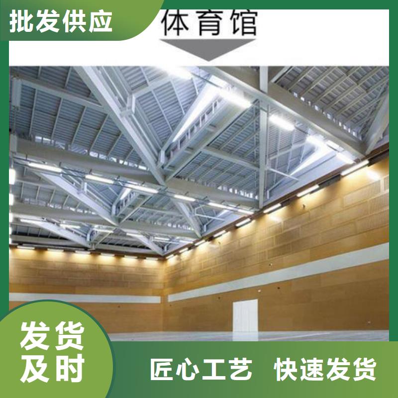 大型体育馆声学改造价格--2025近方案/价格