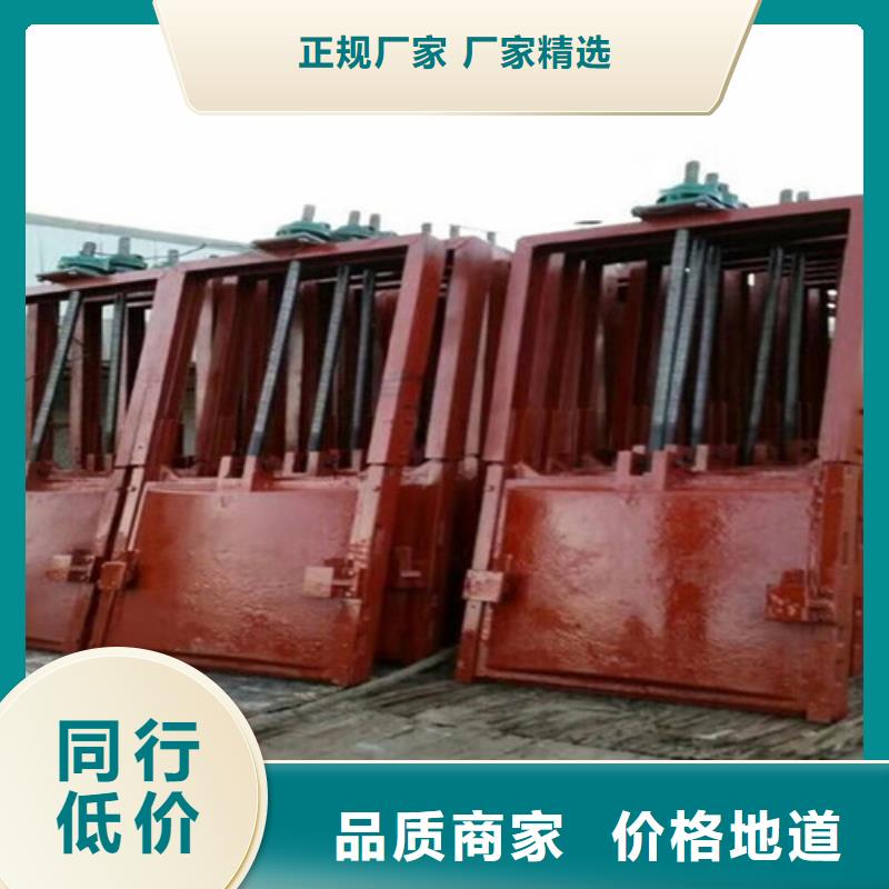 球磨铸铁闸门厂商