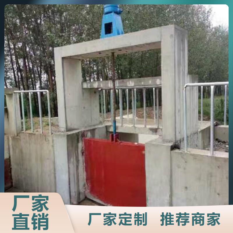 机门一体闸门实力工厂