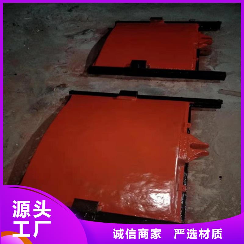 机门一体闸门实力工厂