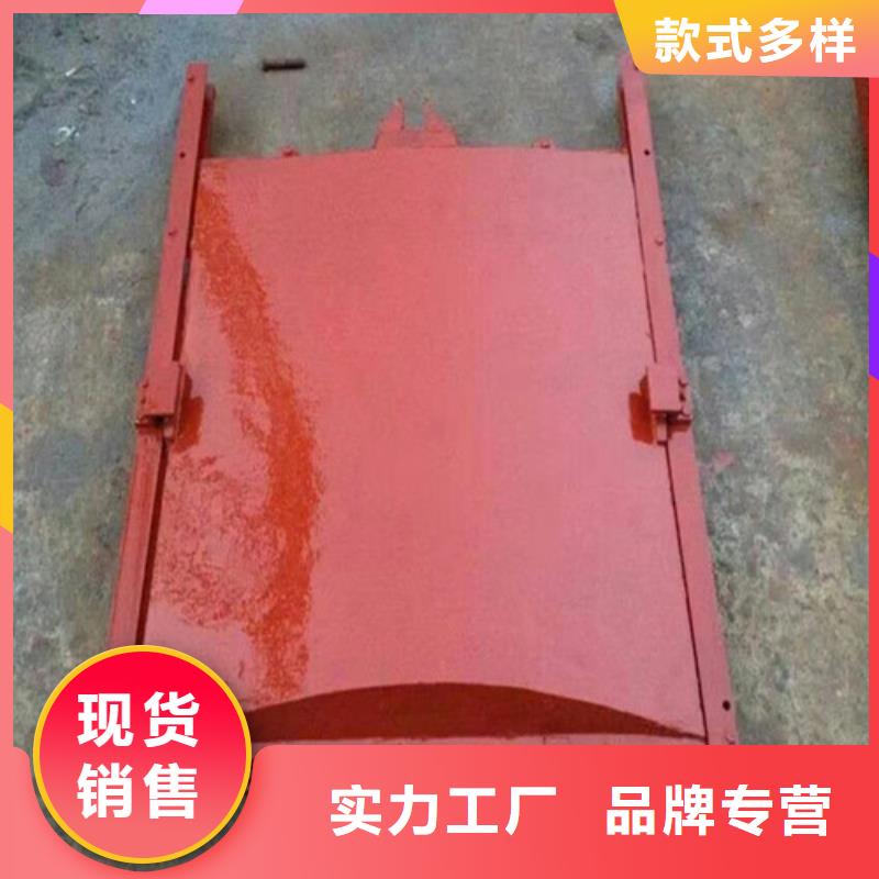 球磨铸铁闸门厂商