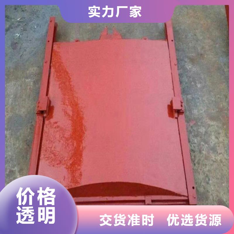 双向铸铁闸门优质供货厂家