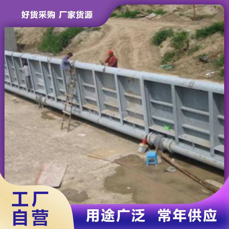 景观闸门可定制定做产品