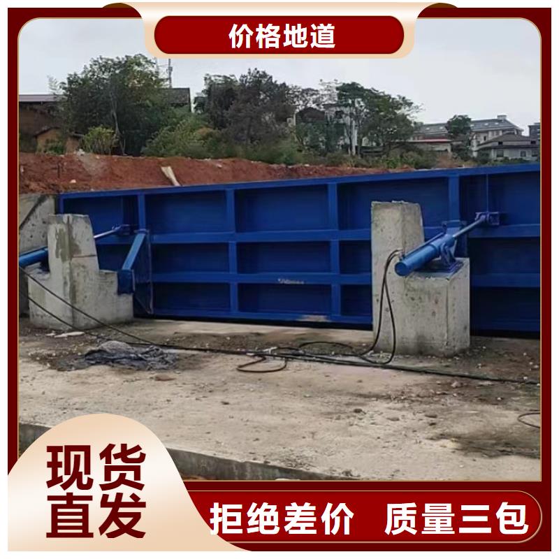 2025经验丰富#翻板闸门定制#源头厂家