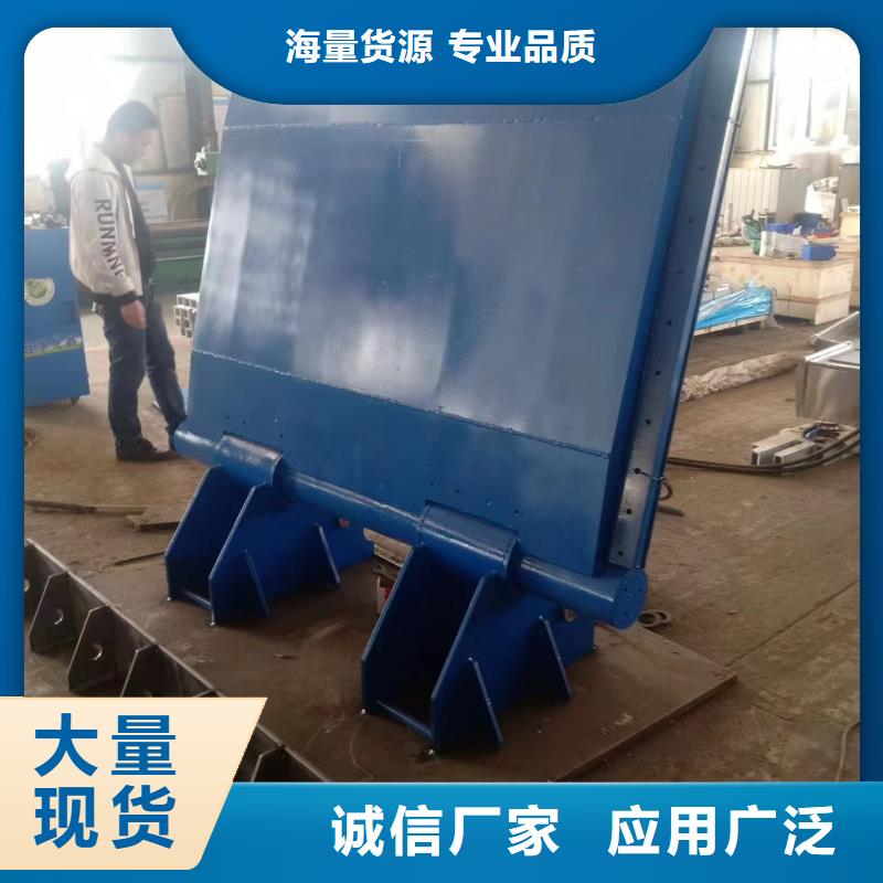 2025经验丰富#翻板闸门定制#源头厂家