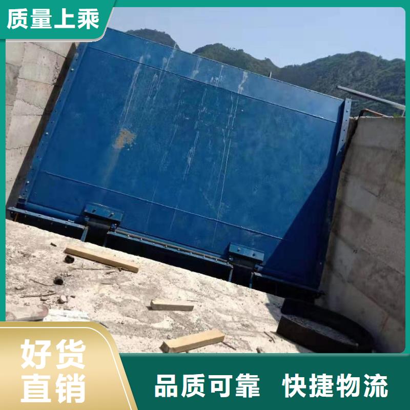 2025经验丰富#翻板闸门定制#源头厂家