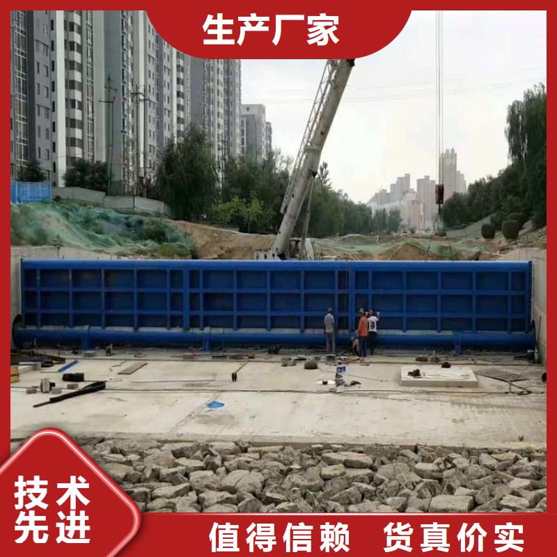 2025经验丰富#翻板闸门定制#源头厂家