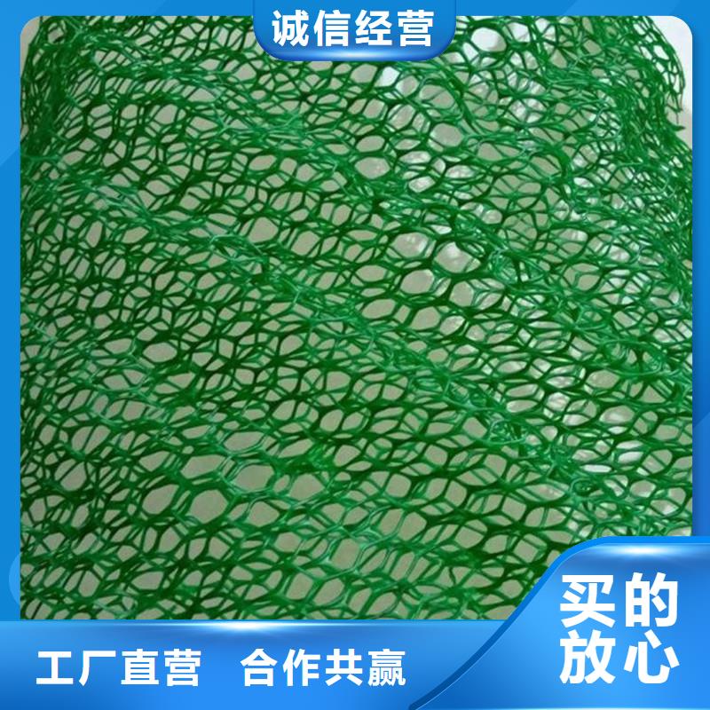 三维植被网铜止水支持定制批发