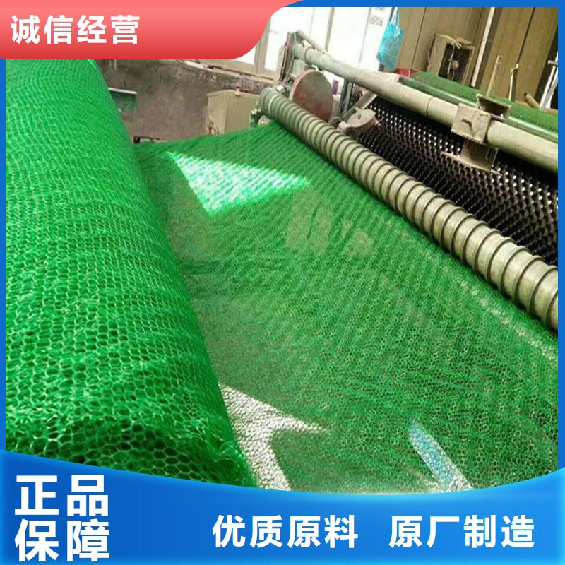 三维植被网双壁打孔波纹管主推产品