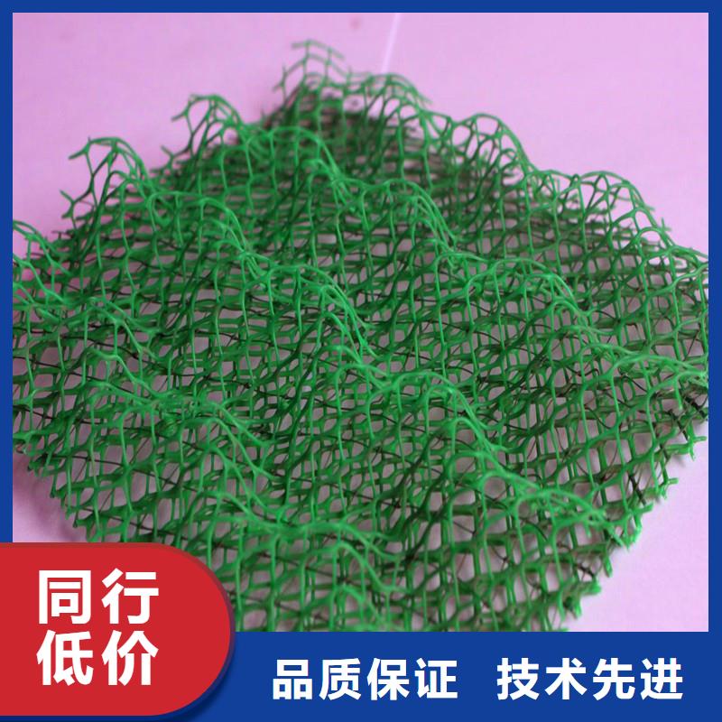 三维植被网-止水铜片品质无所畏惧