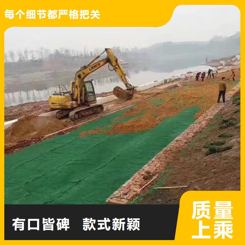 三维植被网-止水铜片品质无所畏惧