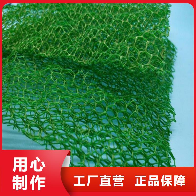 三维植被网【水平止水铜片】专业完善售后