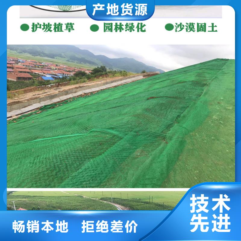 三维植被网双壁打孔波纹管主推产品