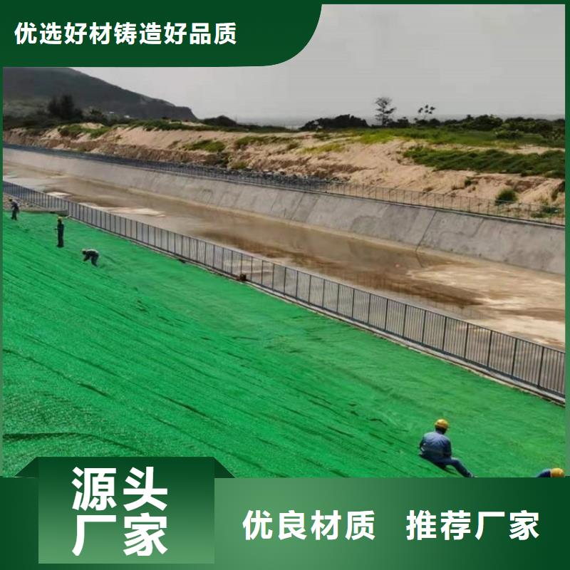 三维植被网双壁打孔波纹管主推产品