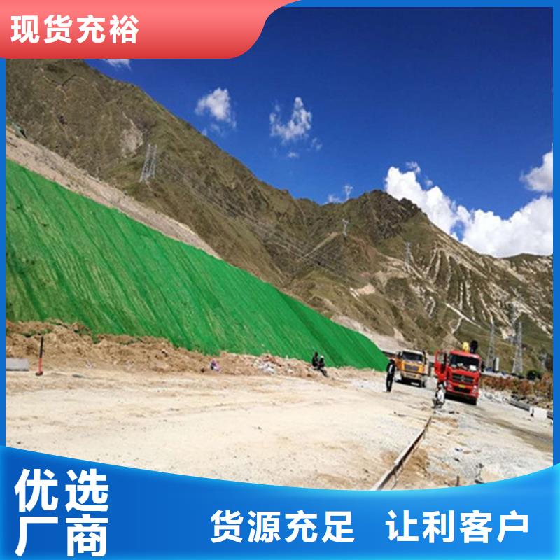 三维植被网土工布货真价实