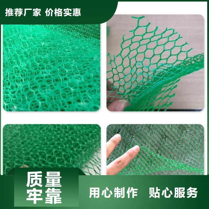 三维植被网-止水铜片品质无所畏惧
