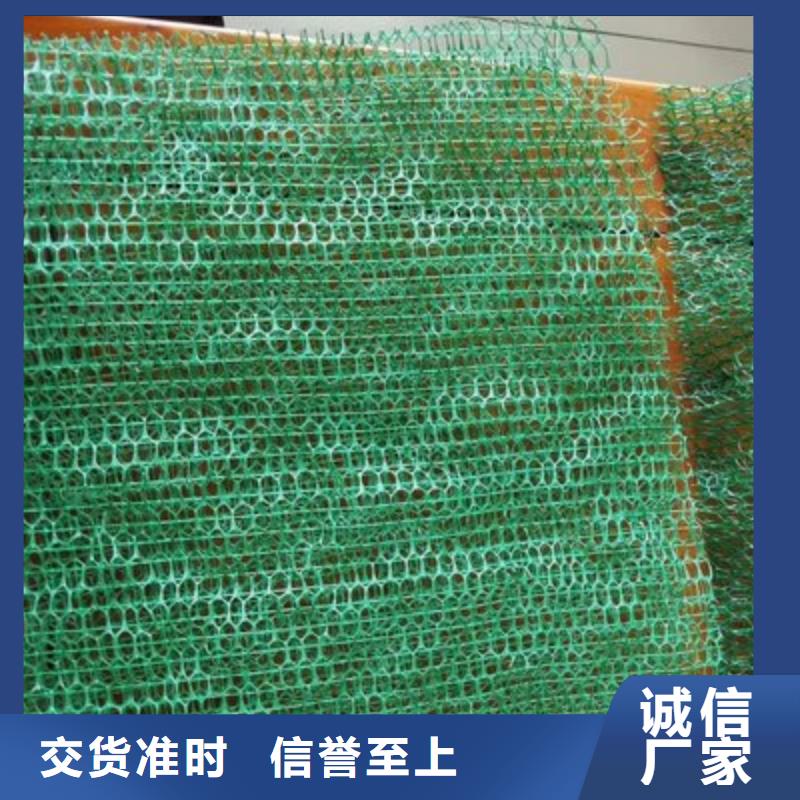 三维植被网-止水铜片品质无所畏惧