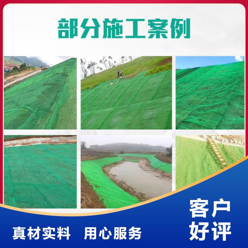 【三维植被网聚乙烯醇纤维厂家产品细节参数】