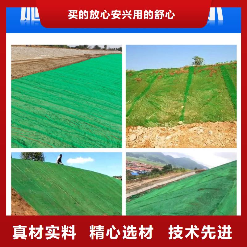 三维植被网【水平止水铜片】专业完善售后