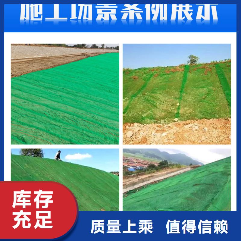 三维植被网土工布货真价实