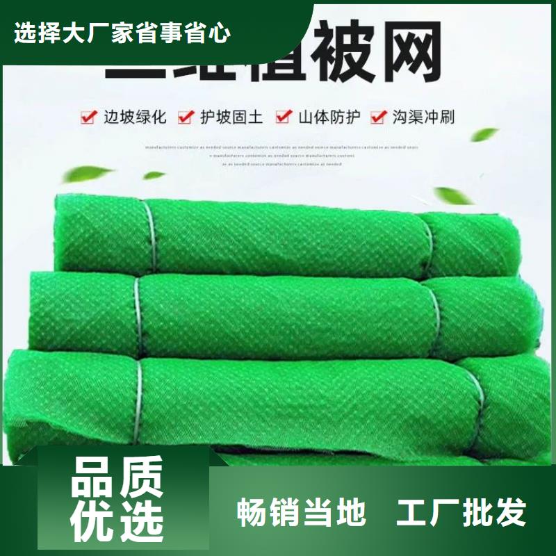三维植被网双壁打孔波纹管主推产品