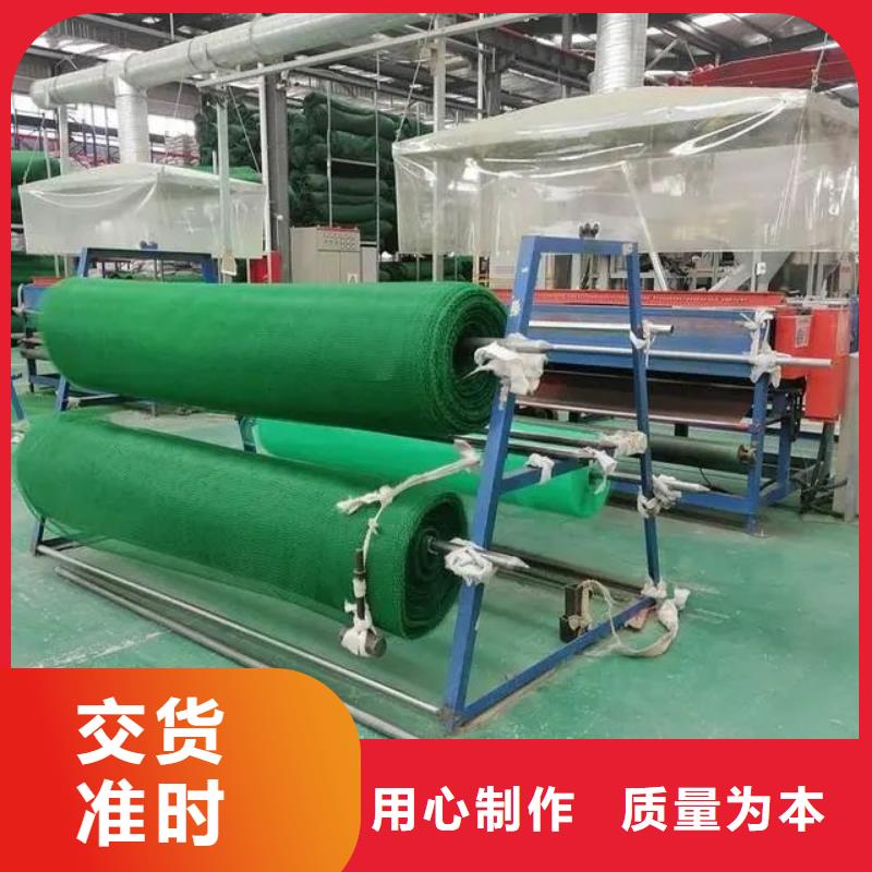 三维植被网【水平止水铜片】专业完善售后