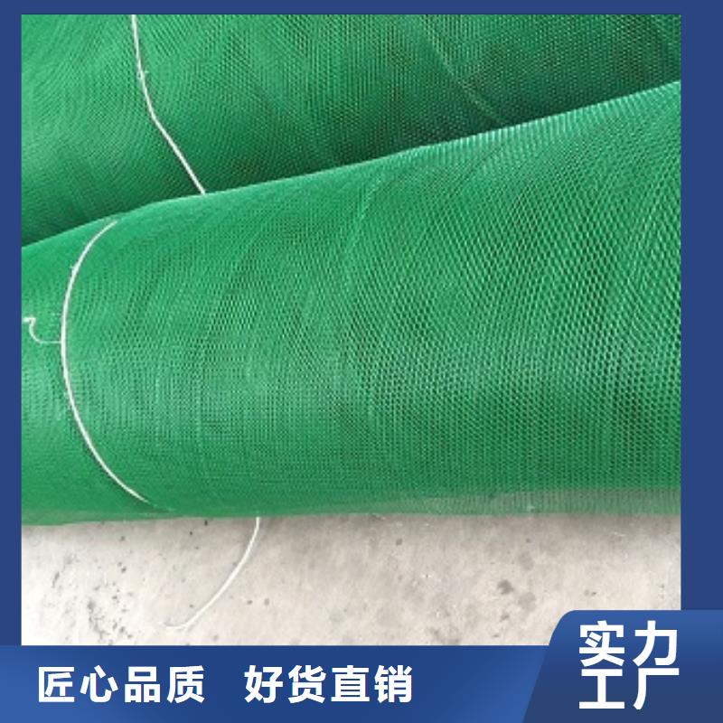 三维植被网双壁打孔波纹管主推产品