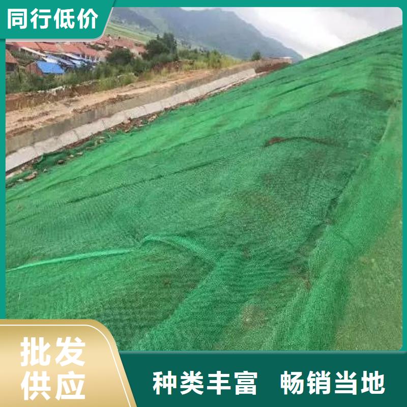 三维植被网双壁打孔波纹管主推产品
