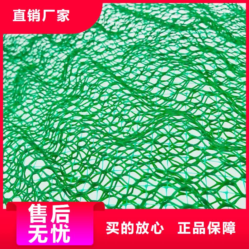 【三维植被网聚乙烯醇纤维厂家产品细节参数】