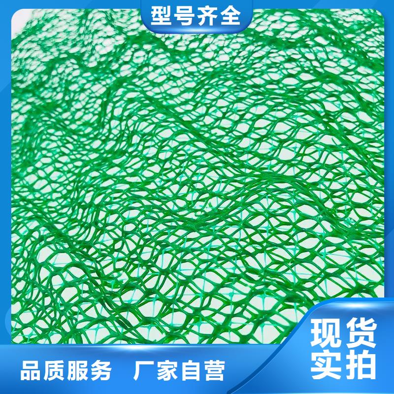 【三维植被网】渗水盲管敢与同行比服务