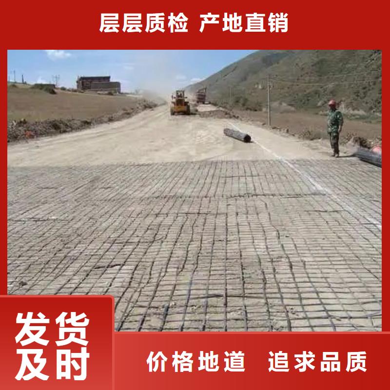 钢塑格栅性价比高厂家