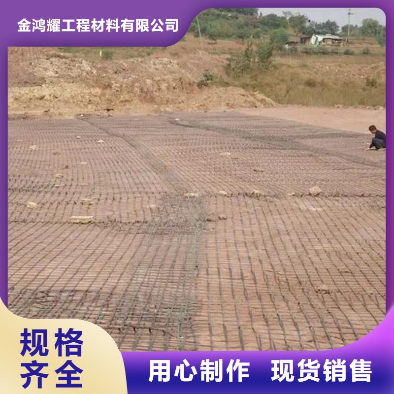 钢塑格栅图片厂家