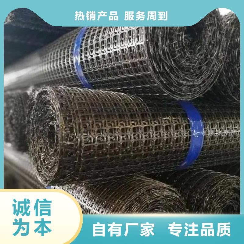 玻纤土工格栅厂家直销厂家