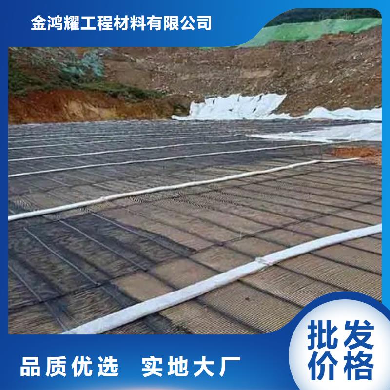 钢塑土工格栅欢迎电询电话