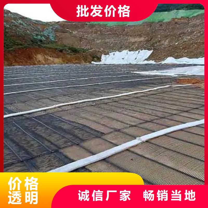 单向土工格栅欢迎咨询电话