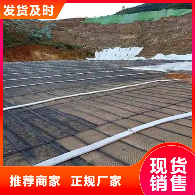 钢塑土工格栅品质放心电话