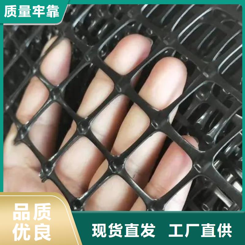 土工格栅厂家价格电话