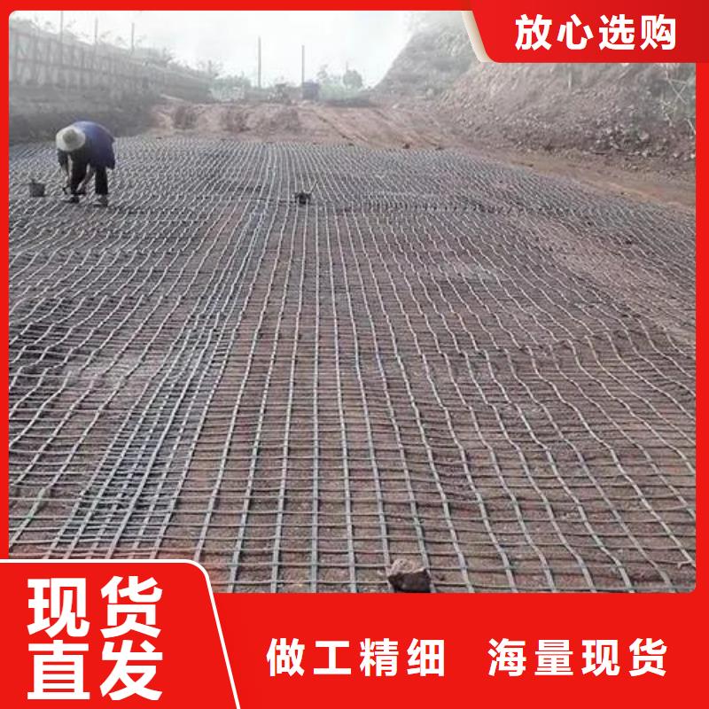 钢塑土工格栅质量可靠厂家