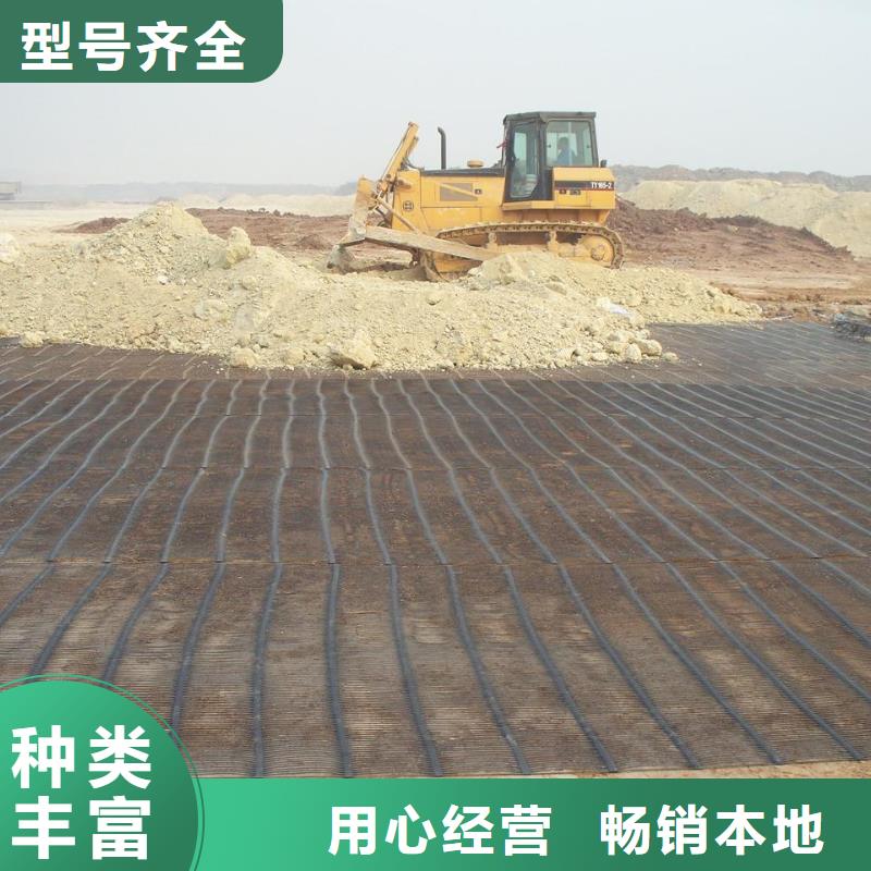 单向土工格栅采购厂家