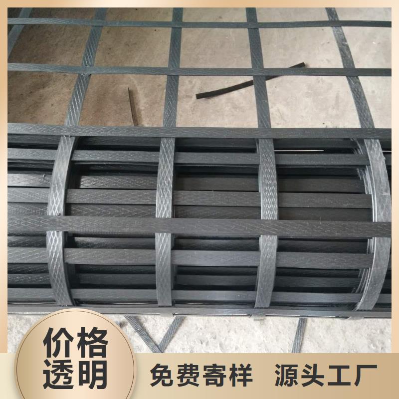 钢塑格栅货真价实厂家