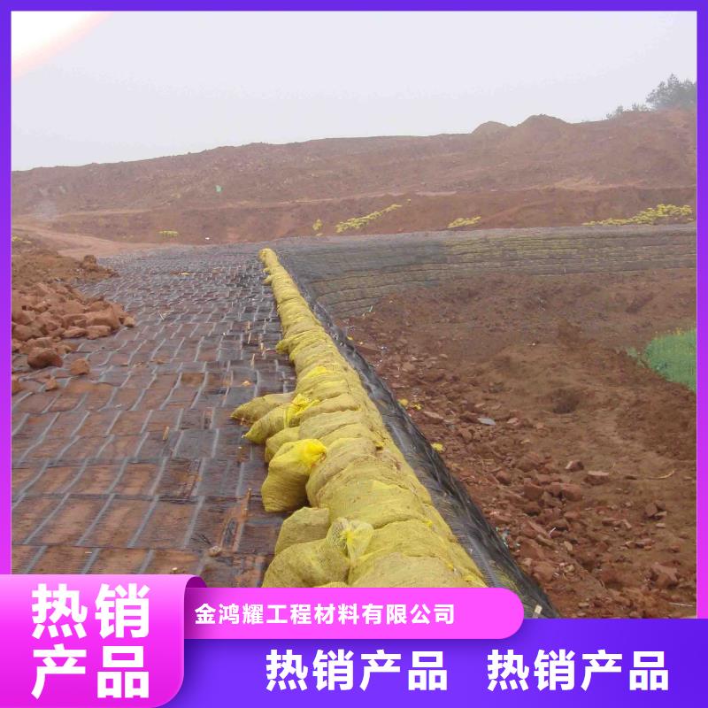 玻纤土工格栅厂家直销厂家