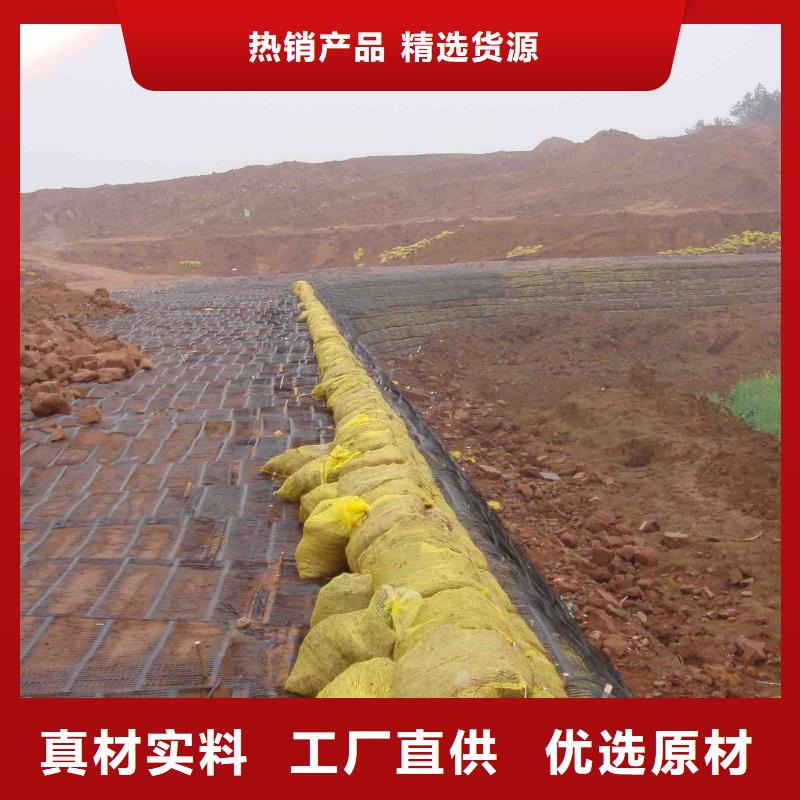 铜止水生产厂家视频-西双版纳市铜止水生产厂家-(该地)可服务区域景洪|勐海|昭通|文山|玉溪|楚雄|大理