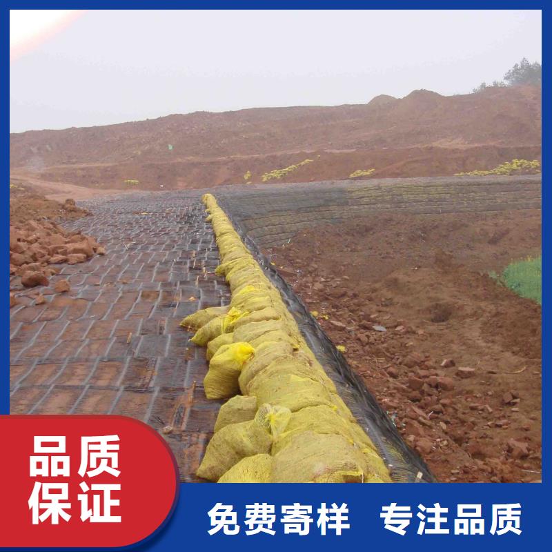 钢塑格栅口碑好厂家