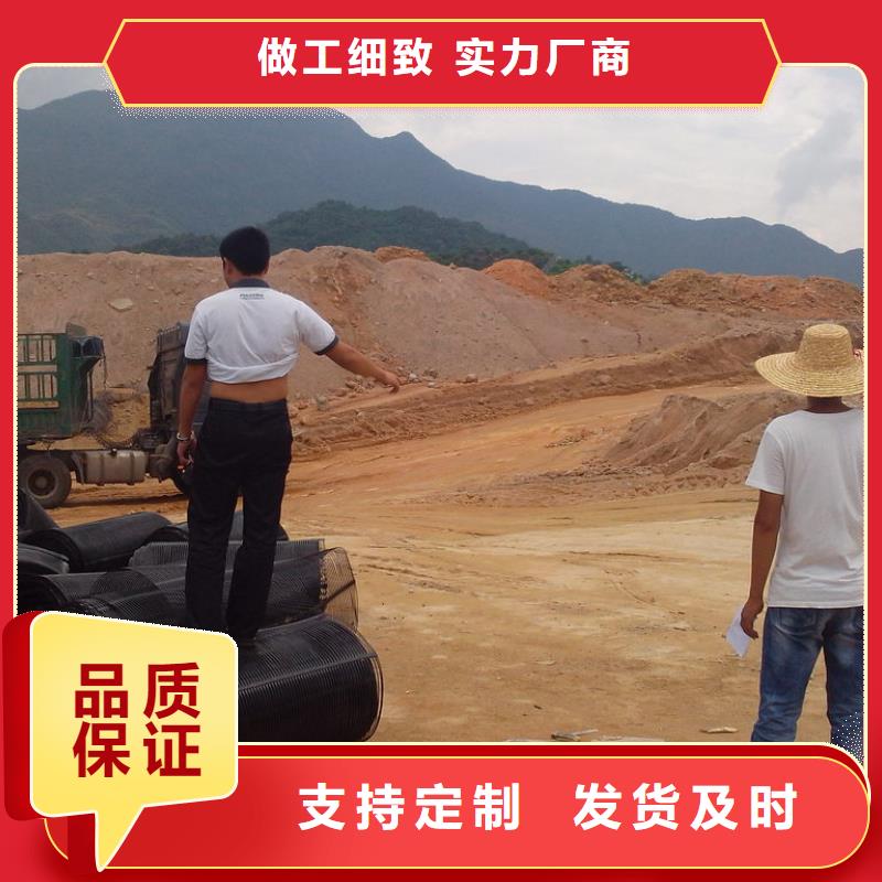 钢塑格栅性价比高厂家