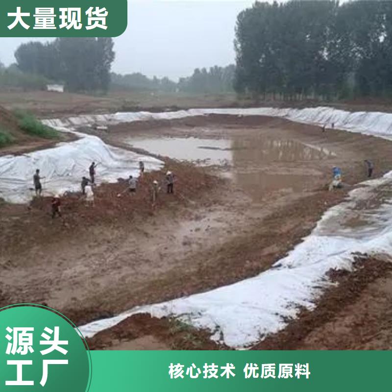 土工布紫铜止水片真实拍摄品质可靠