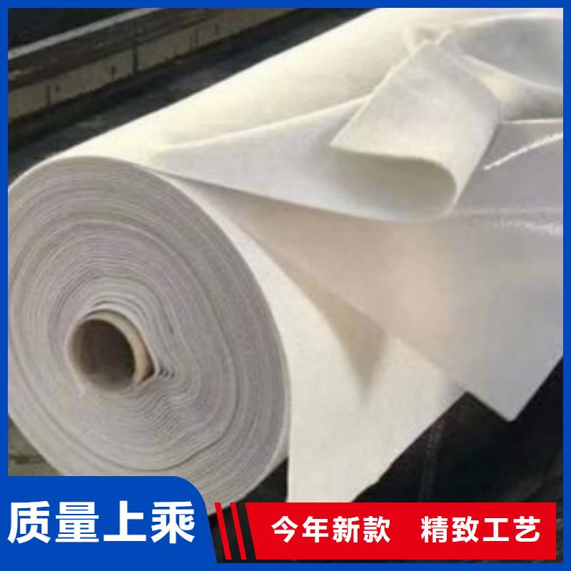 土工布【聚乙烯醇纤维】专业生产团队