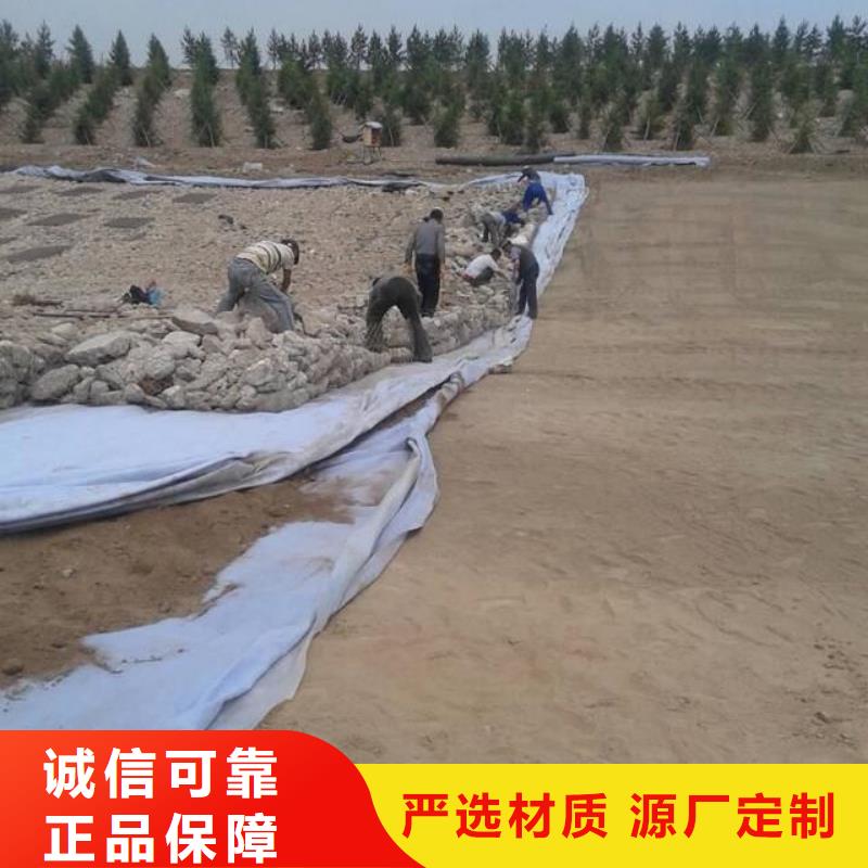 土工布,渗排水网垫优质原料