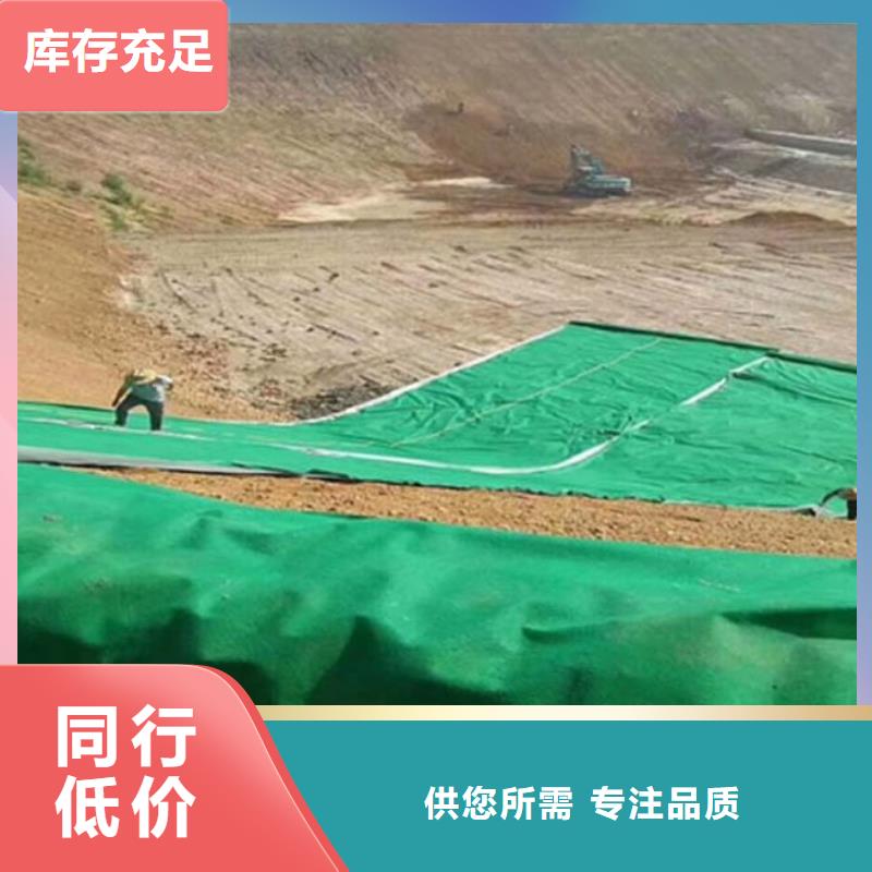 土工布【聚乙烯醇纤维】专业生产团队