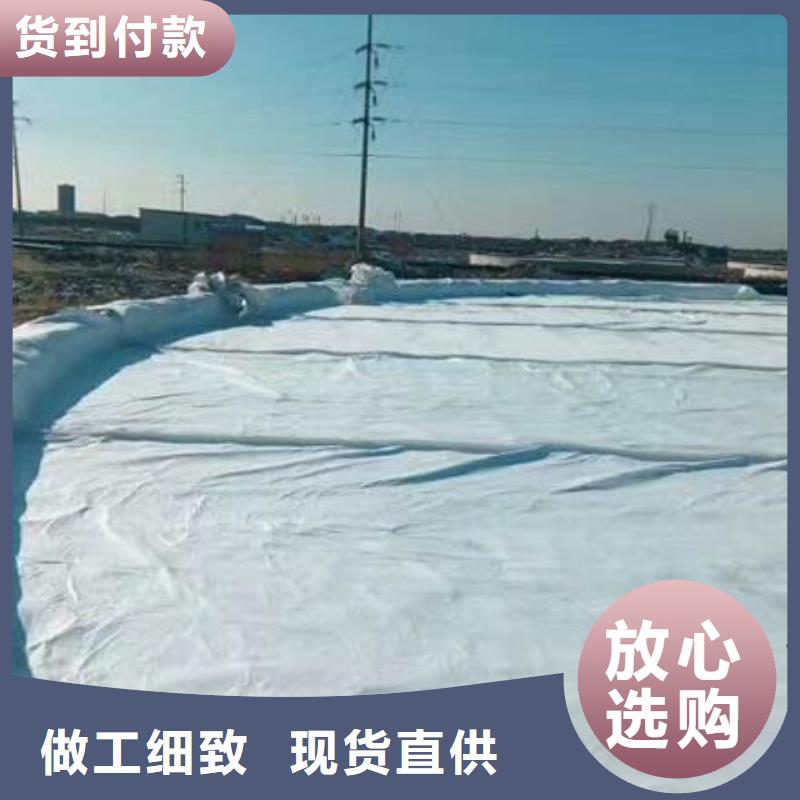 土工布【聚乙烯醇纤维】专业生产团队