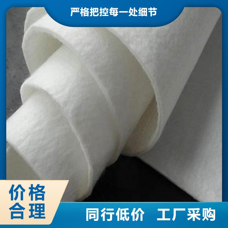 土工布【聚乙烯醇纤维】专业生产团队